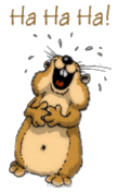 d :haaaa: