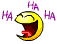 d :hhhaaaa: